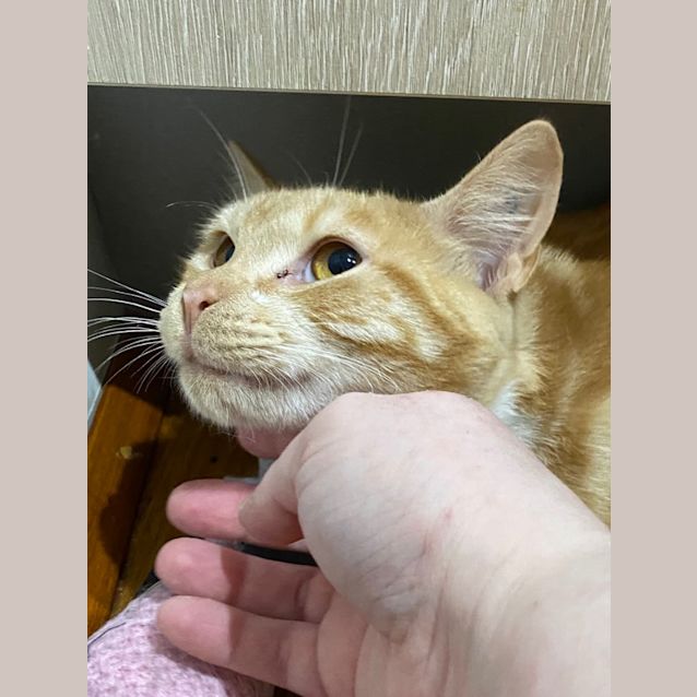 Photo of Helga Hissburger