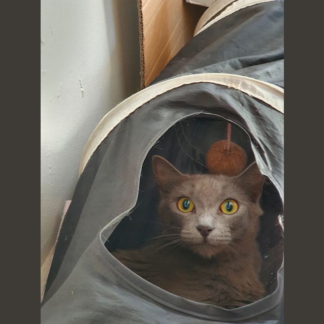 Photo of Gwendolyn