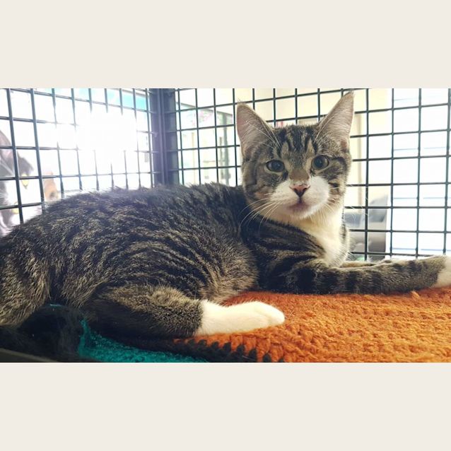 Photo of Spike
