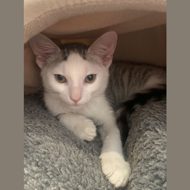 Photo of Owen