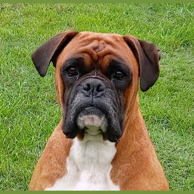 Photo of Taz And Ralphie