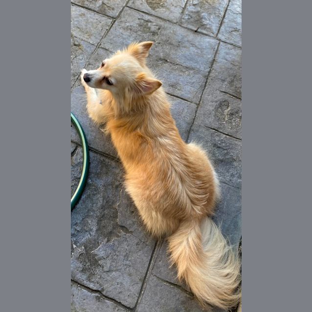 Photo of Jasper