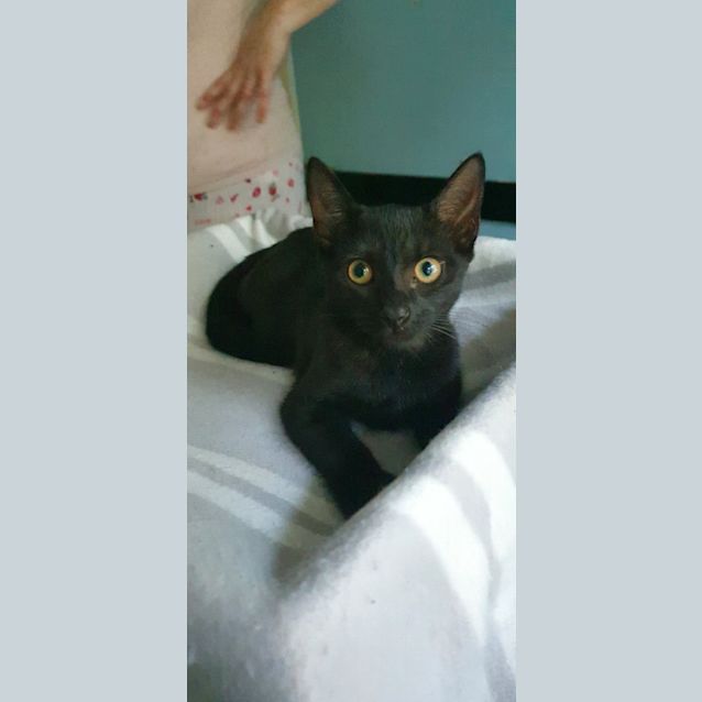 Photo of Tammy