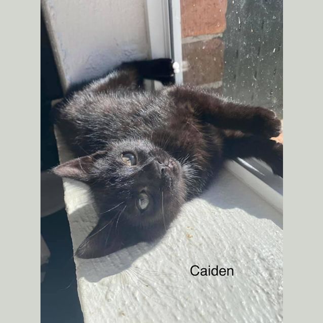 Photo of Caiden