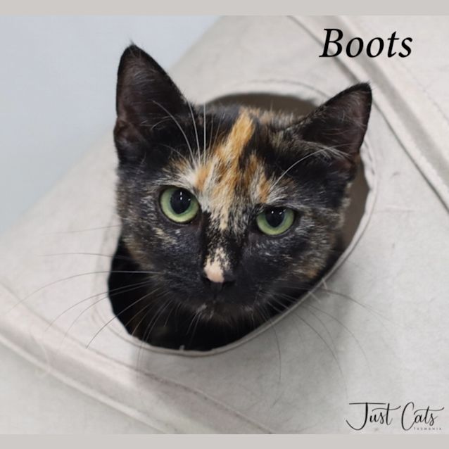 Photo of Boots