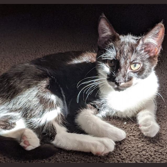Photo of Claudia   Located In Preston