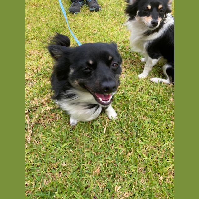 Photo of Boomer & Sonic 