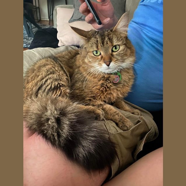Photo of Luna