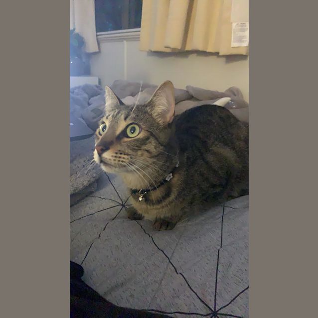 Photo of Tiny
