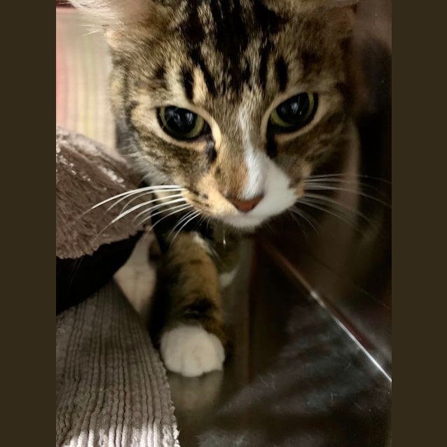 Photo of Wednesday