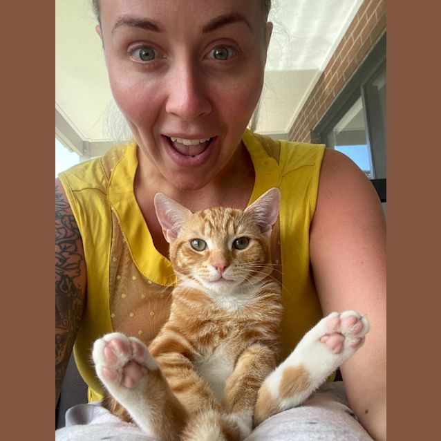 Photo of Lello Ginger Kitten