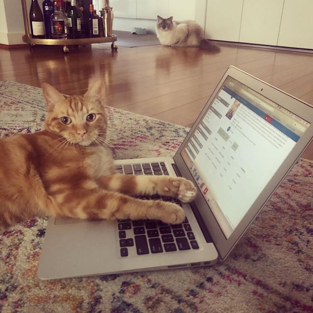 Photo of Jasper