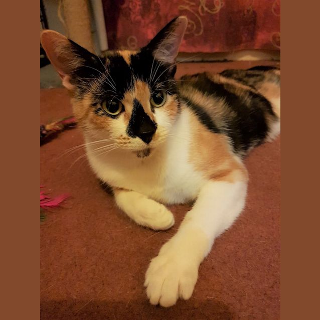 Photo of 3574 – Peggy Sue