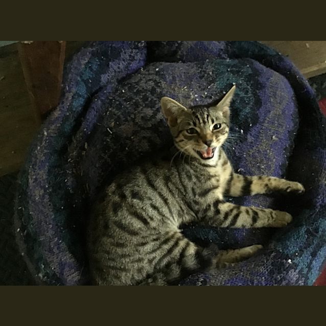 Photo of Sidney