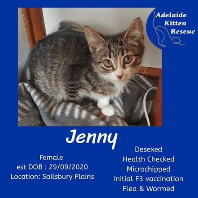 Photo of Jenny