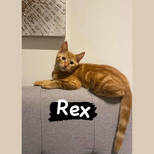 Photo of Buzz And Rex ❤❤