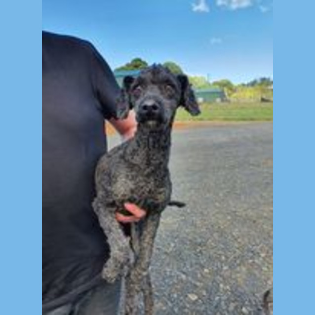 Photo of Sooty