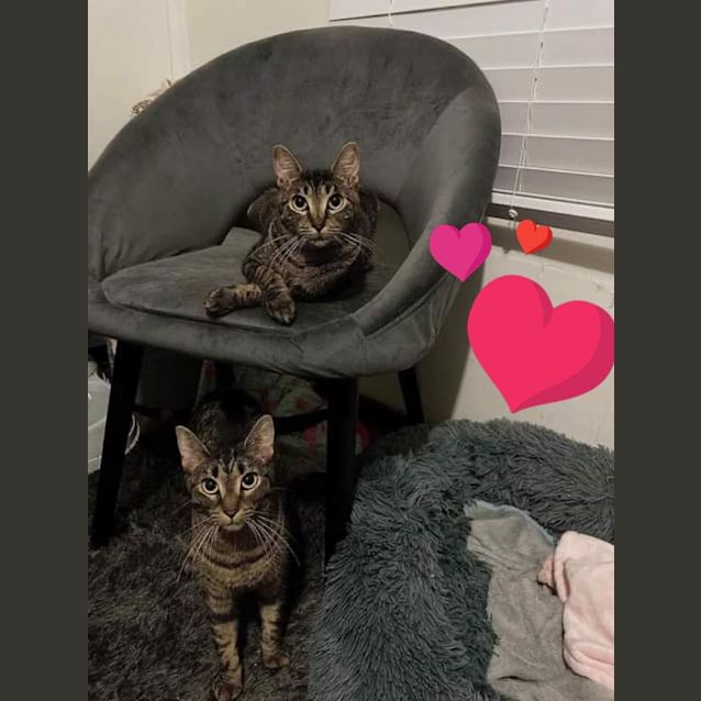 Photo of Louise & Tabitha 