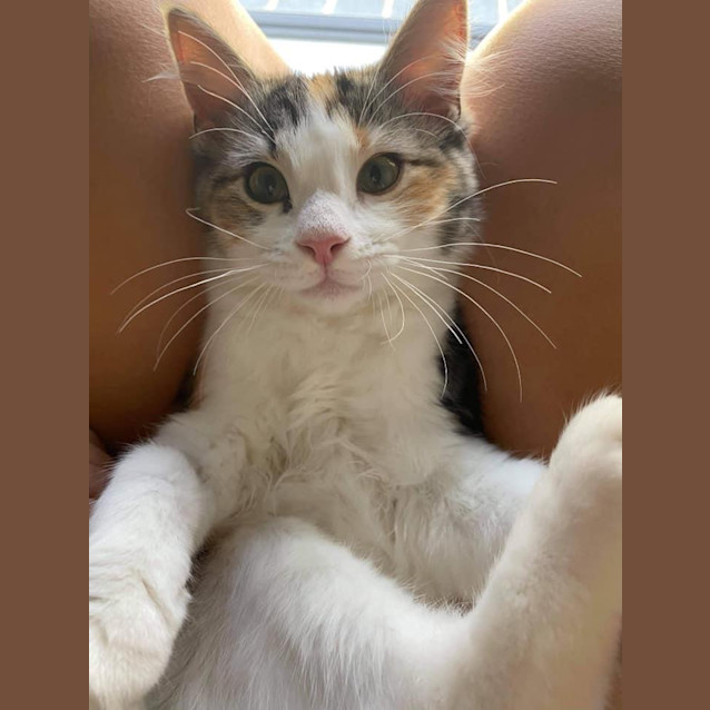 Photo of 🌻 Octavia 🌻