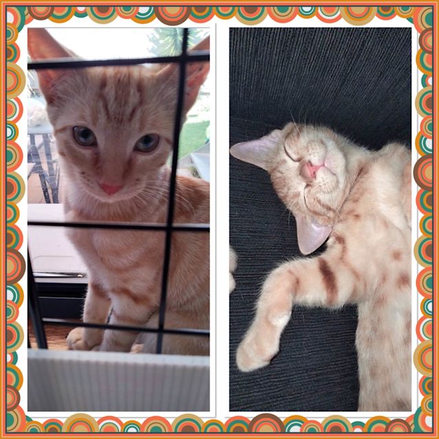 Photo of Harry And Larry