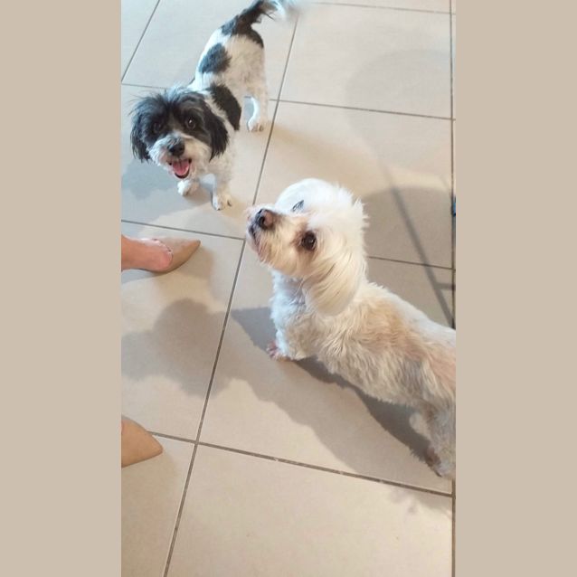 Photo of Bella And Coco