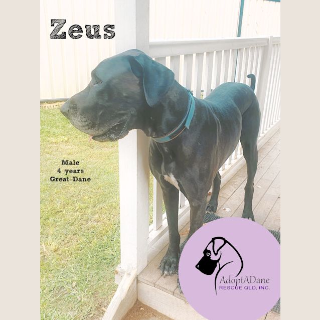 Photo of Zeus