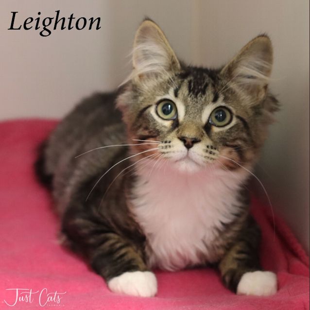 Photo of Leighton