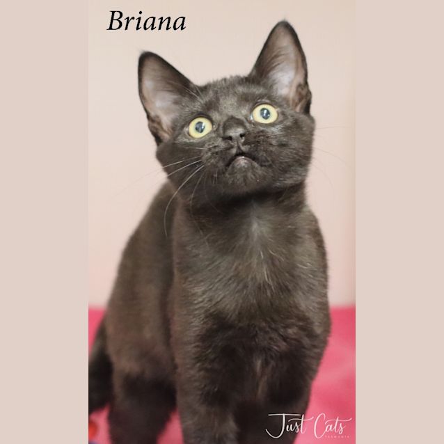 Photo of Briana