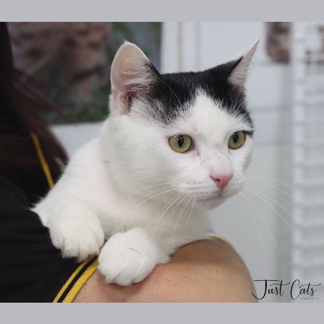 Photo of Jasper