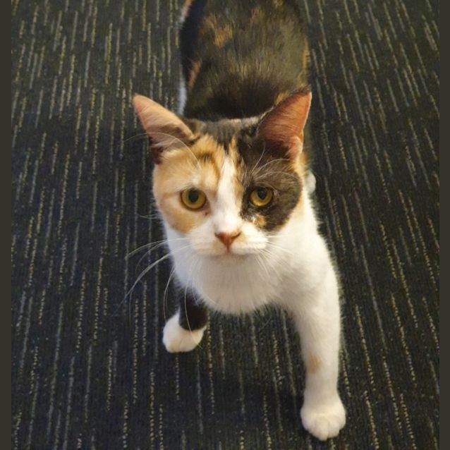 Photo of Penelope