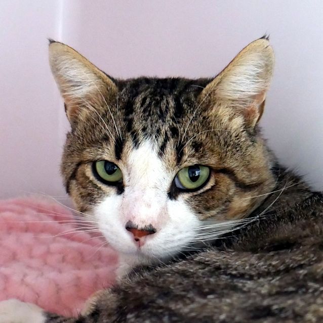 Photo of Toby Sua006006