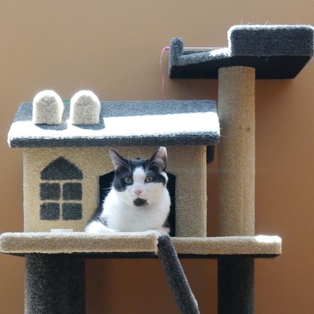 Photo of Edwin Rsua003006