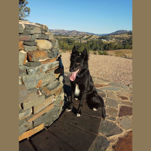 Photo of Walther