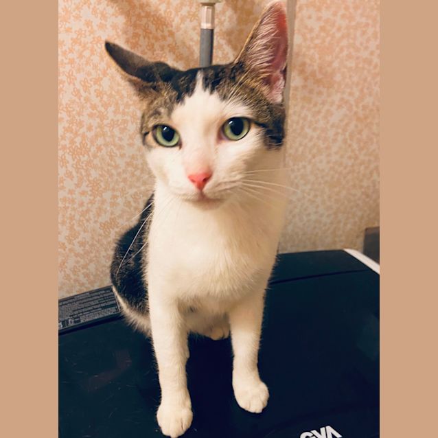 Photo of Francine 