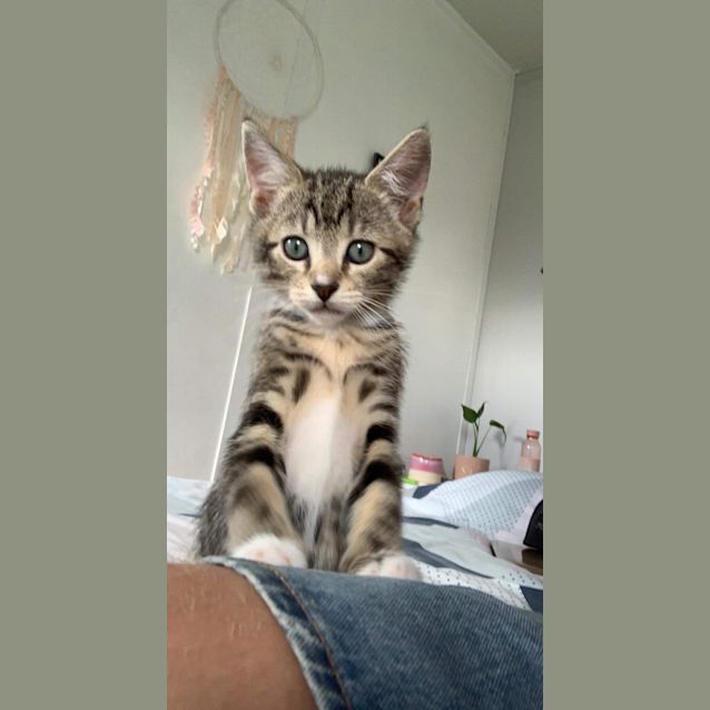 Photo of Barney