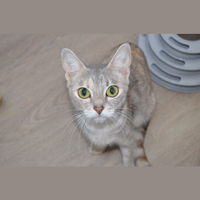 Photo of Phyllis 