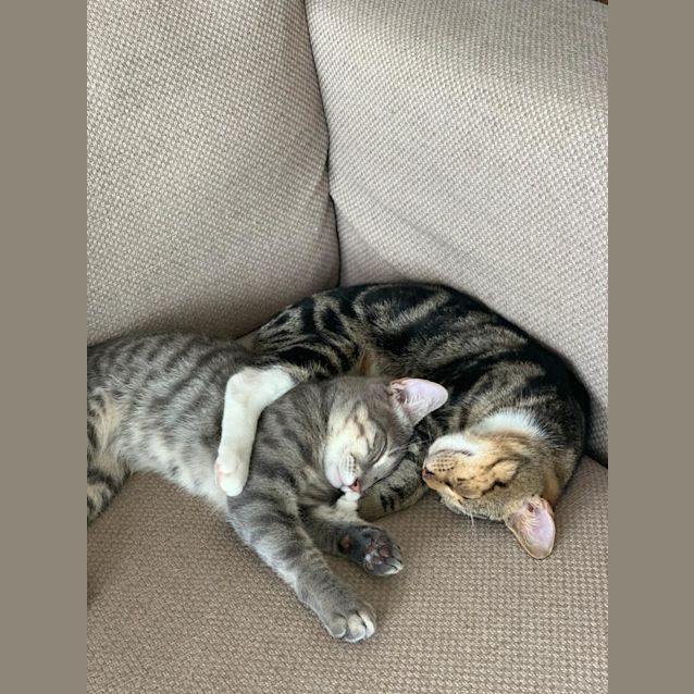 Photo of Eric & Coco