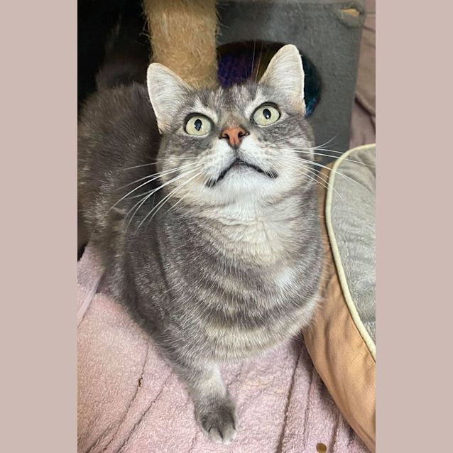 Photo of Pablo