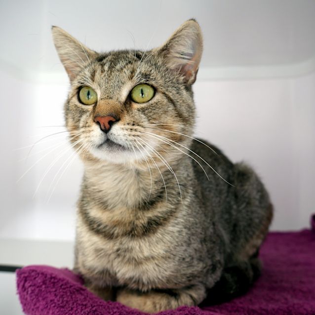 Photo of Peter Sua006053