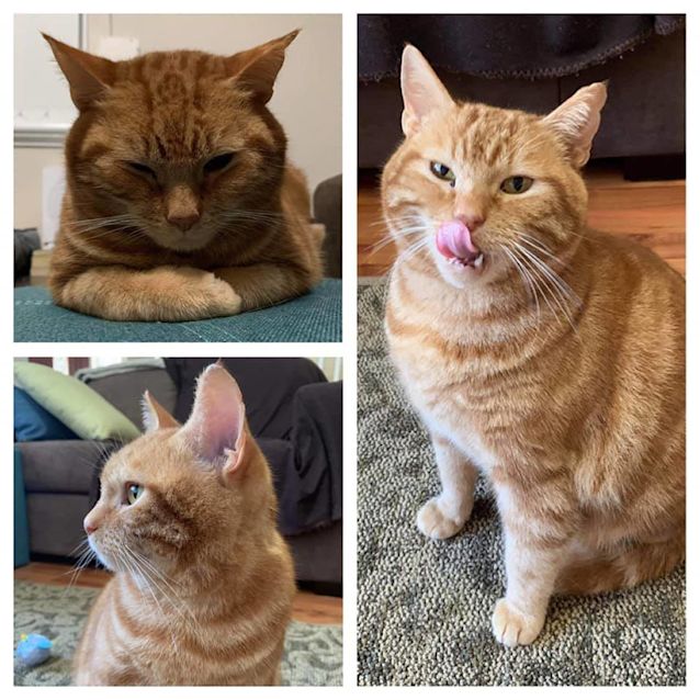 Photo of 2998   Bergamot