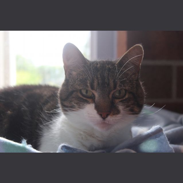 Photo of Sophie
