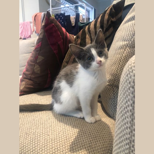 Photo of Dora 