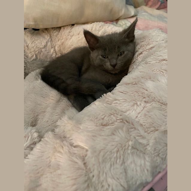 Photo of Jasper