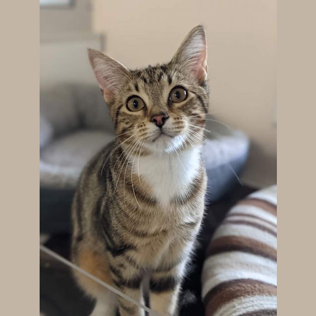 Photo of Ellie