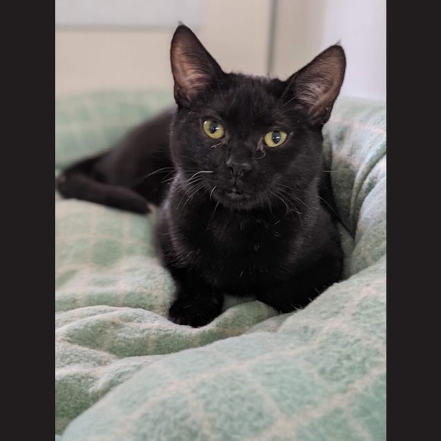 Photo of Betty