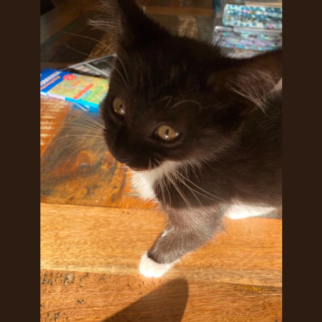 Photo of Boots