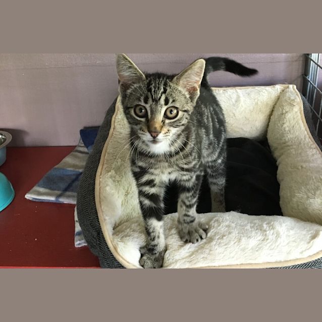 Photo of Penelope