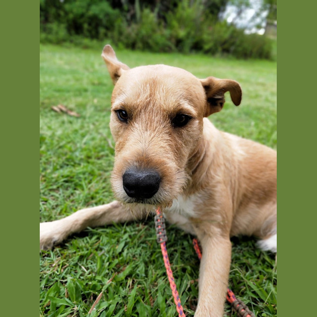 Photo of Murphy
