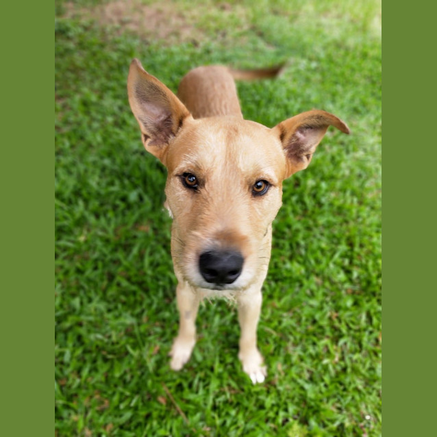 Photo of Murphy