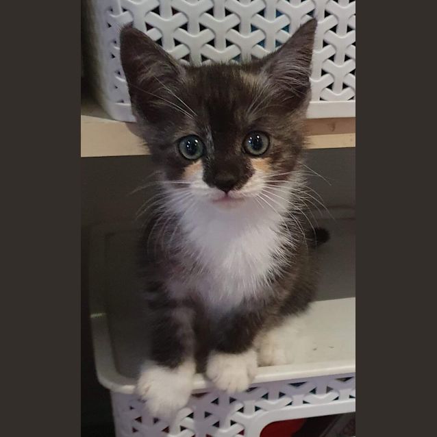Photo of Anastasia